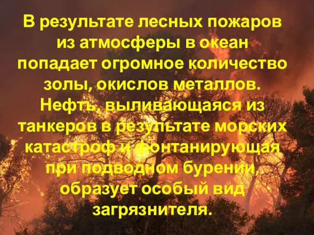 В результате лесных пожаров из атмосферы в океан попадает огромное количество золы,