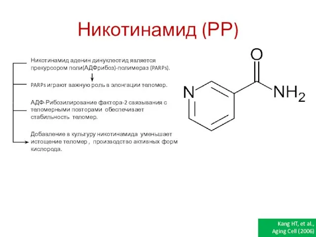 Никотинамид (РР) Никотинамид аденин динуклеотид является прекурсором поли(АДФрибоз)-полимераз (PARPs). PARPs играют важную