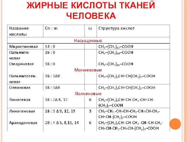 ЖИРНЫЕ КИСЛОТЫ ТКАНЕЙ ЧЕЛОВЕКА