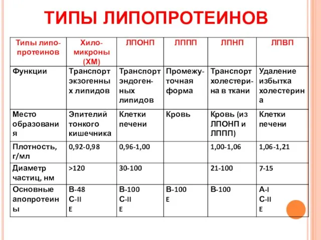 ТИПЫ ЛИПОПРОТЕИНОВ