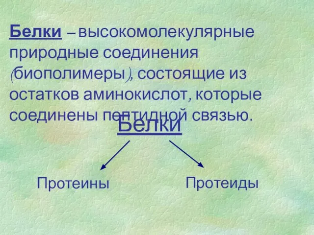 Белки – высокомолекулярные природные соединения (биополимеры), состоящие из остатков аминокислот, которые соединены