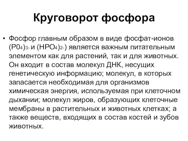 Круговорот фосфора Фосфор главным образом в виде фосфат-ионов (Р04)3- и (НРО4)2-) является