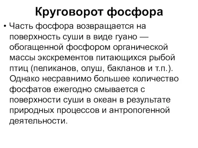 Круговорот фосфора Часть фосфора возвращается на поверхность суши в виде гуано —