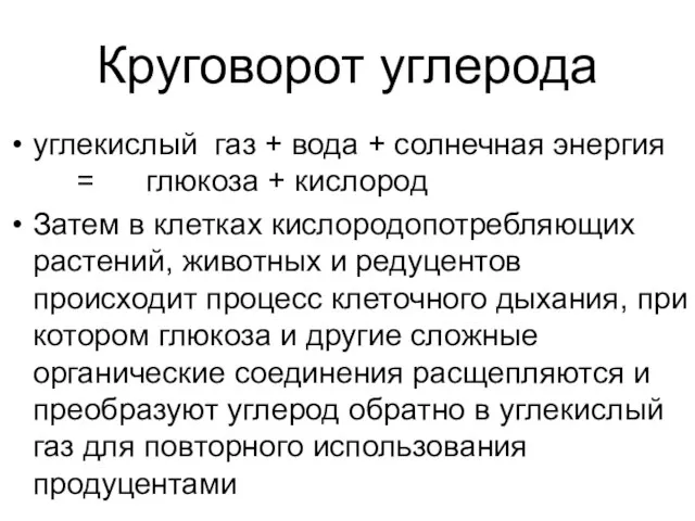 Круговорот углерода углекислый газ + вода + солнечная энергия = глюкоза +