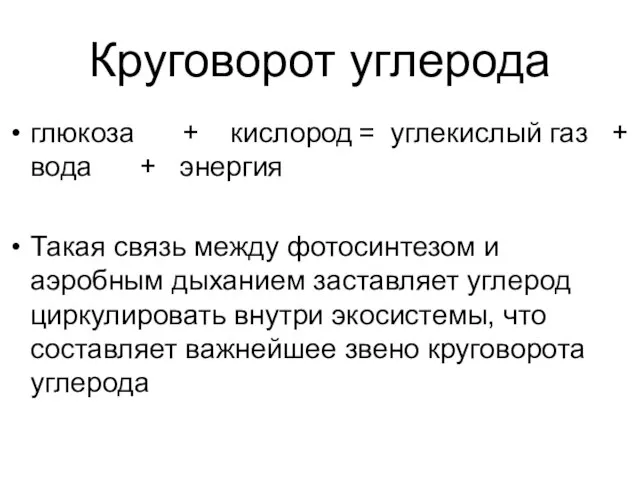 Круговорот углерода глюкоза + кислород = углекислый газ + вода + энергия