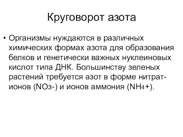 Круговорот азота Организмы нуждаются в различных химических формах азота для образования белков