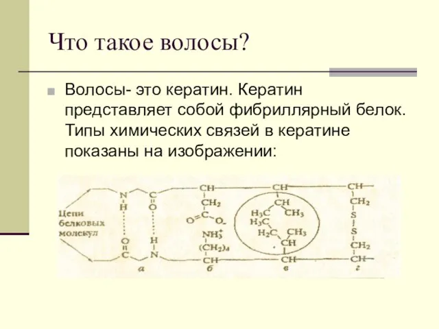 Что такое волосы? Волосы- это кератин. Кератин представляет собой фибриллярный белок. Типы