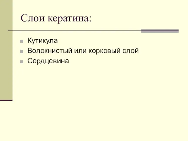 Кутикула Волокнистый или корковый слой Сердцевина Слои кератина: