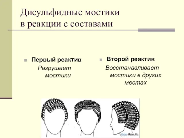 Дисульфидные мостики в реакции с составами Первый реактив Разрушает мостики Второй реактив