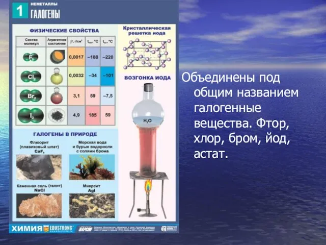 Объединены под общим названием галогенные вещества. Фтор, хлор, бром, йод, астат.