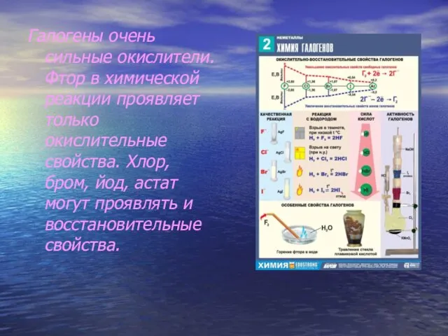 Галогены очень сильные окислители. Фтор в химической реакции проявляет только окислительные свойства.