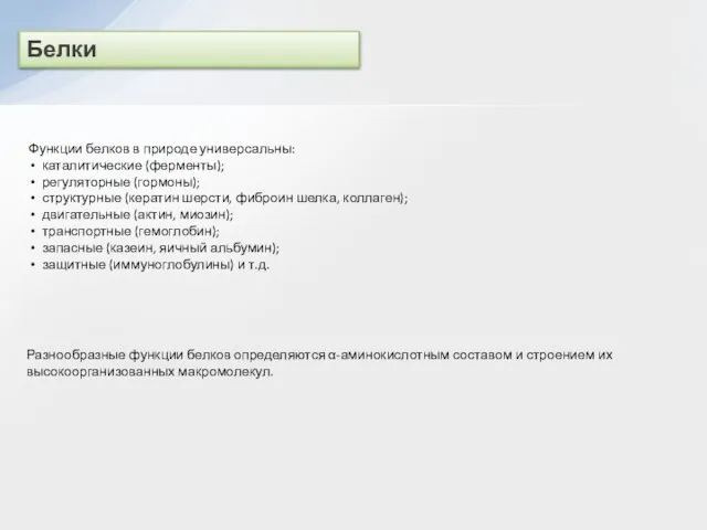 Белки Функции белков в природе универсальны: каталитические (ферменты); регуляторные (гормоны); структурные (кератин