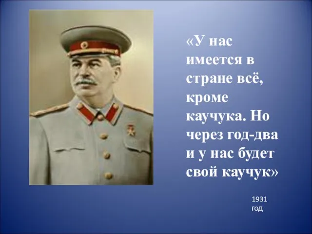 «У нас имеется в стране всё, кроме каучука. Но через год-два и