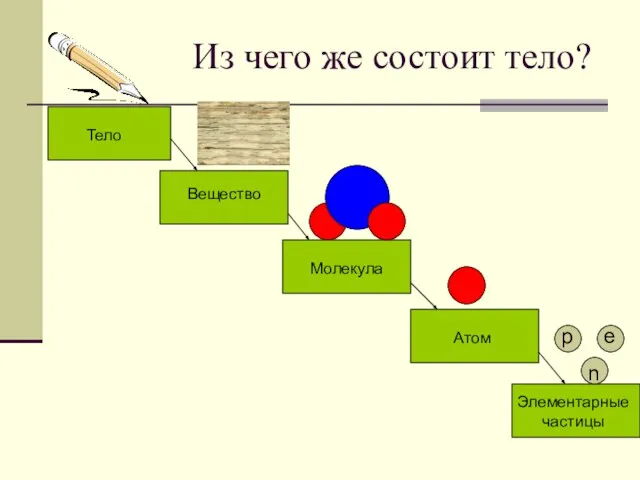 Из чего же состоит тело? Тело