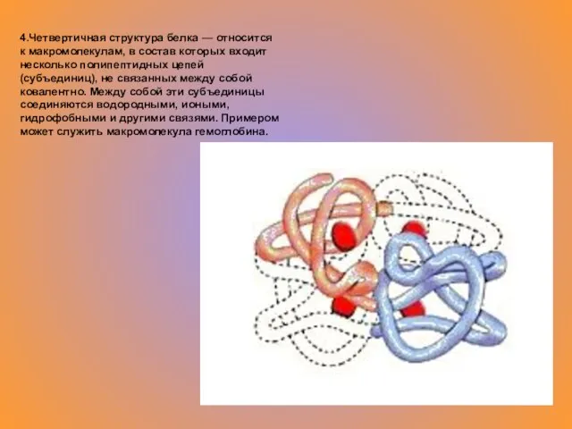 4.Четвертичная структура белка — относится к макромолекулам, в состав которых входит несколько