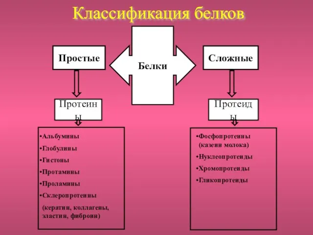 Белки Простые Сложные Протеины Протеиды Альбумины Глобулины Гистоны Протамины Проламины Склеропротеины (кератин,