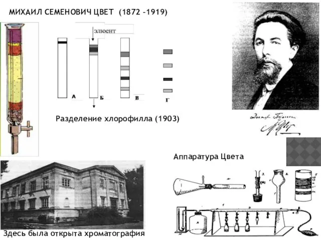 МИХАИЛ СЕМЕНОВИЧ ЦВЕТ (1872 -1919) Разделение хлорофилла (1903) Здесь была открыта хроматография Аппаратура Цвета