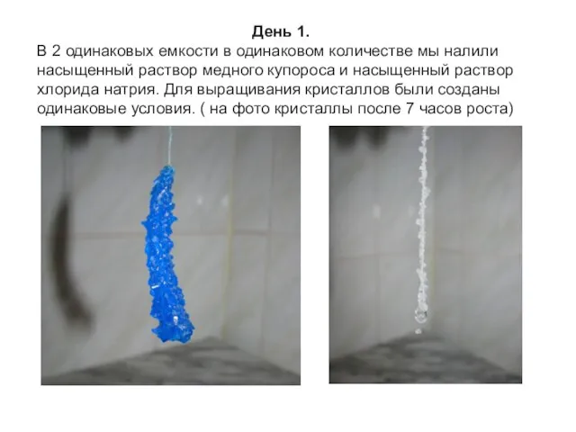 День 1. В 2 одинаковых емкости в одинаковом количестве мы налили насыщенный