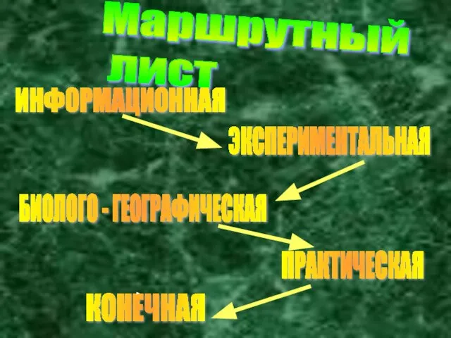 Маршрутный лист ИНФОРМАЦИОННАЯ ЭКСПЕРИМЕНТАЛЬНАЯ БИОЛОГО - ГЕОГРАФИЧЕСКАЯ ПРАКТИЧЕСКАЯ КОНЕЧНАЯ