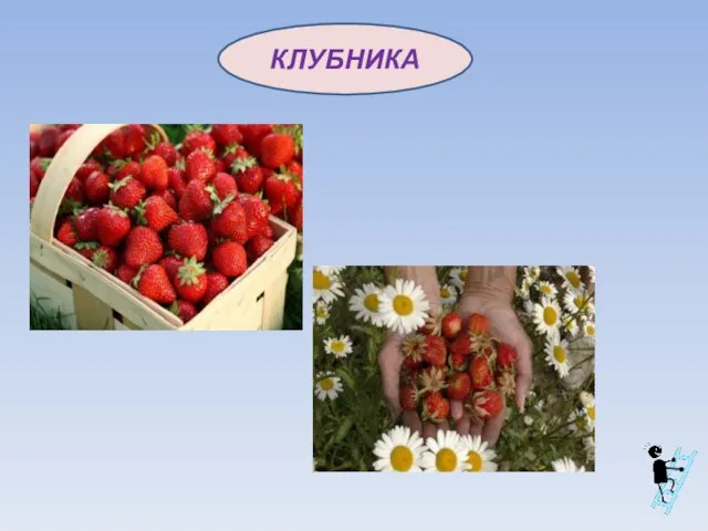 КЛУБНИКА