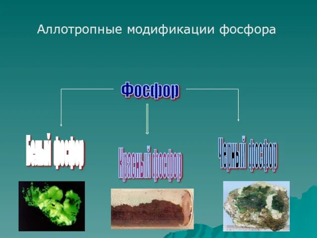 Фосфор Белый фосфор Красный фосфор Черный фосфор Аллотропные модификации фосфора