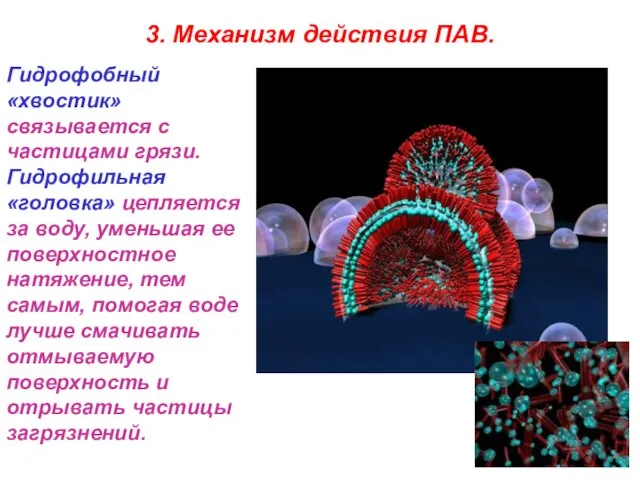 3. Механизм действия ПАВ. Гидрофобный «хвостик» связывается с частицами грязи. Гидрофильная «головка»