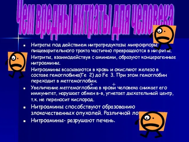 Нитраты под действием нитратредуктазы микрофлоры пищеварительного тракта частично превращаются в нитриты. Нитриты,