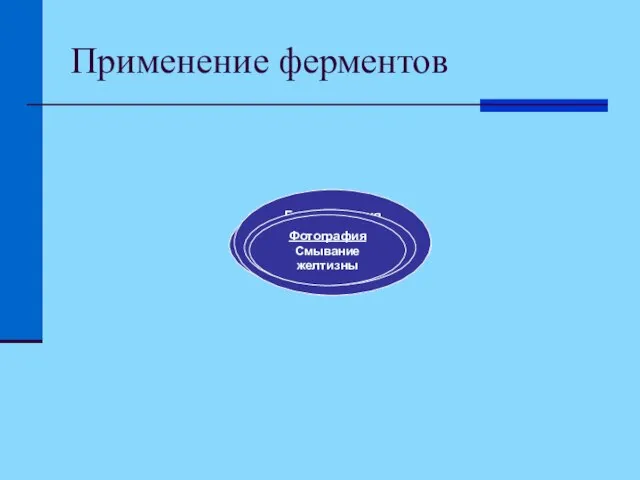 Применение ферментов Ферменты Пищевая Производство «готовых» каш Фармацевтическая Добавки у зубным пастам