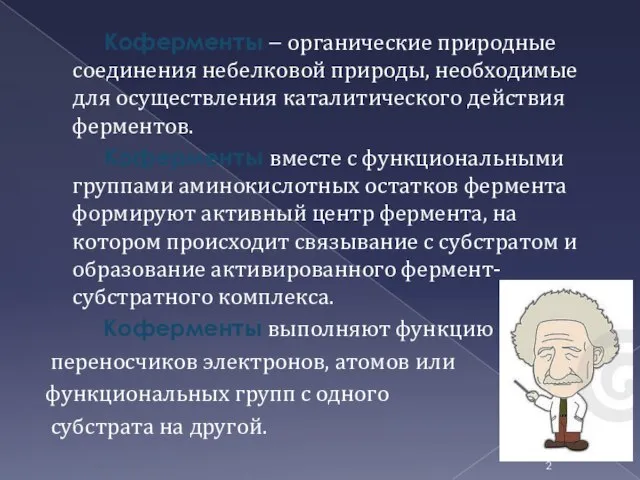 Коферменты – органические природные соединения небелковой природы, необходимые для осуществления каталитического действия