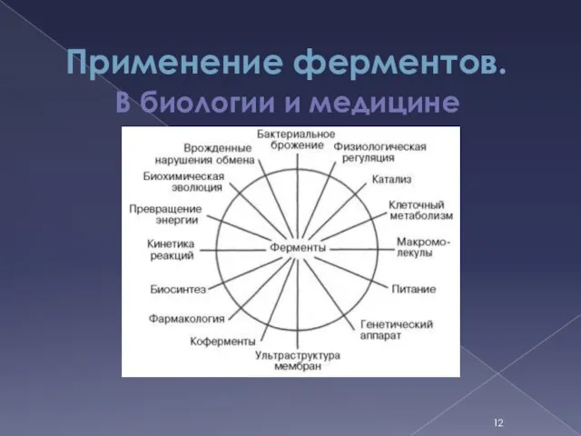 Применение ферментов. В биологии и медицине