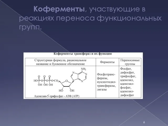 Коферменты, участвующие в реакциях переноса функциональных групп.