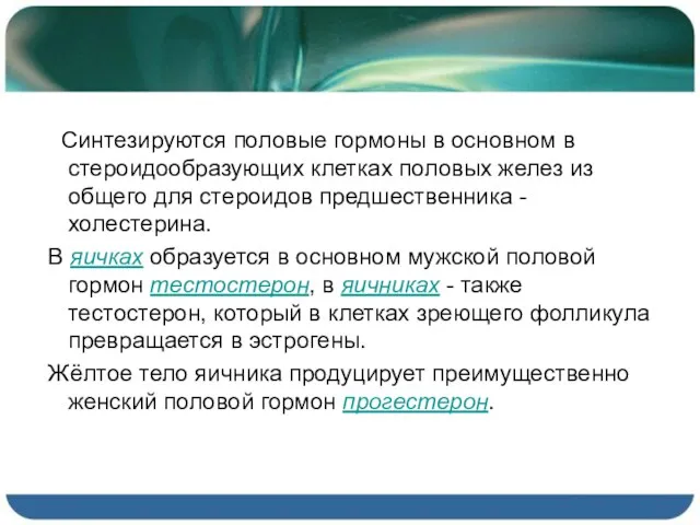 Синтезируются половые гормоны в основном в стероидообразующих клетках половых желез из общего