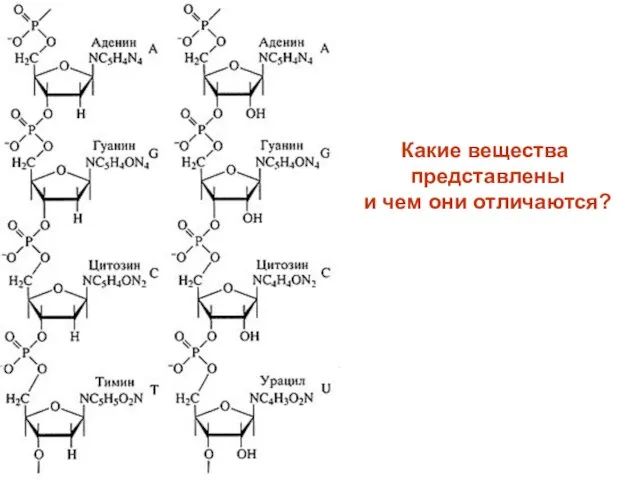 Какие вещества представлены и чем они отличаются?