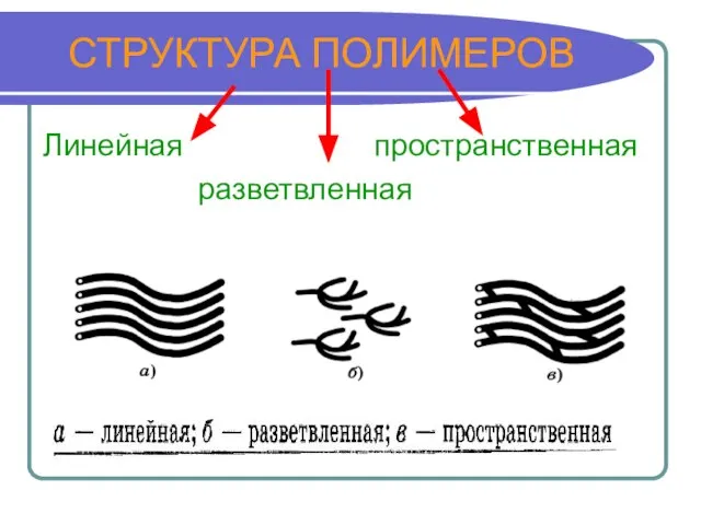 СТРУКТУРА ПОЛИМЕРОВ Линейная пространственная разветвленная