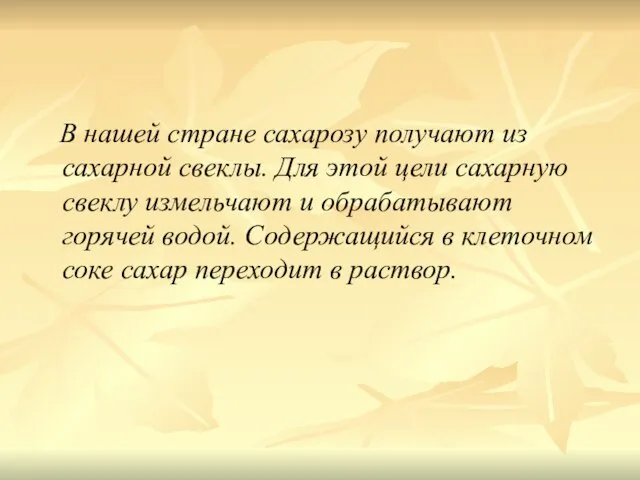 В нашей стране сахарозу получают из сахарной свеклы. Для этой цели сахарную