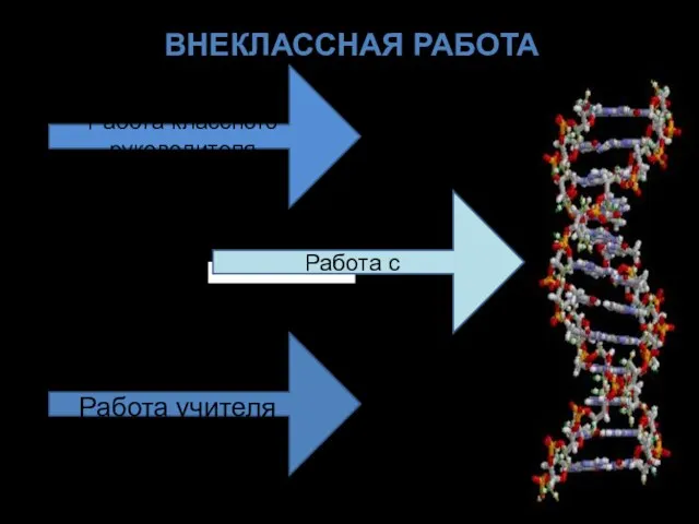 ВНЕКЛАССНАЯ РАБОТА Работа классного руководителя Работа с родителями Работа учителя