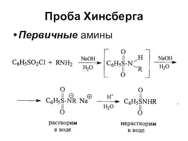 Проба Хинсберга Первичные амины