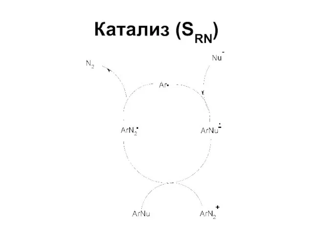 Катализ (SRN)