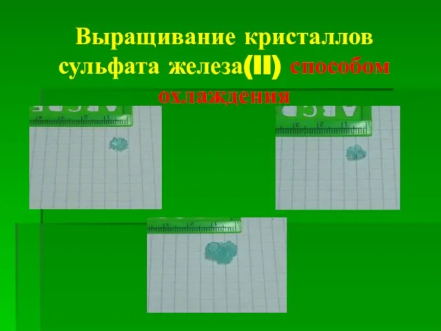 Выращивание кристаллов сульфата железа(II) способом охлаждения