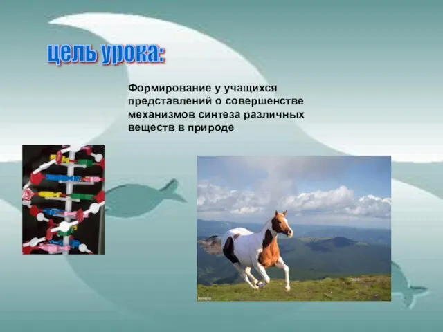 цель урока: Формирование у учащихся представлений о совершенстве механизмов синтеза различных веществ в природе