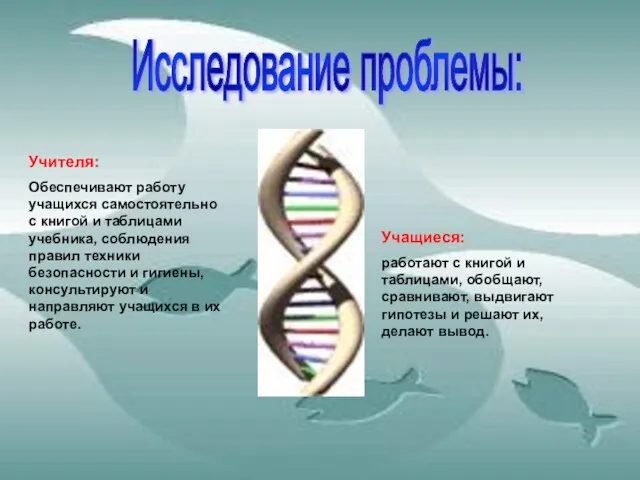 Исследование проблемы: Учителя: Обеспечивают работу учащихся самостоятельно с книгой и таблицами учебника,