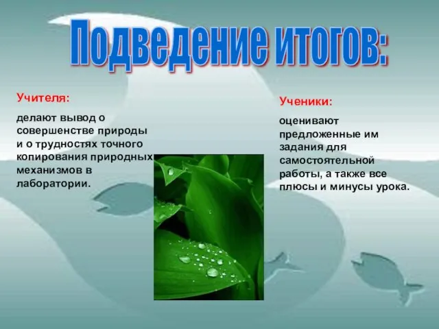 Подведение итогов: Учителя: делают вывод о совершенстве природы и о трудностях точного