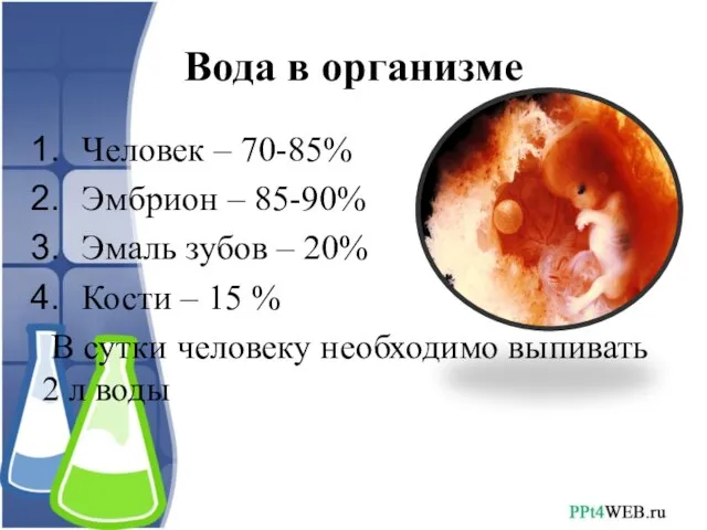 Вода в организме Человек – 70-85% Эмбрион – 85-90% Эмаль зубов –