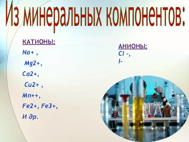 Из минеральных компонентов: Катионы: Na+ , Mg2+, Са2+, Cu2+ , Мn++, Fe2+,