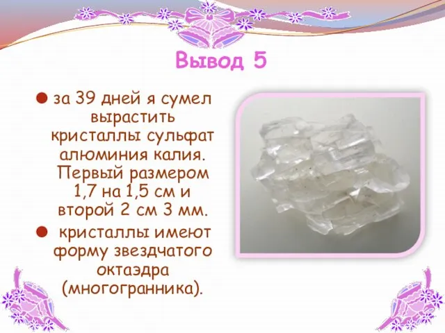 Вывод 5 за 39 дней я сумел вырастить кристаллы сульфат алюминия калия.