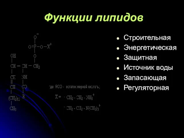 Функции липидов Строительная Энергетическая Защитная Источник воды Запасающая Регуляторная