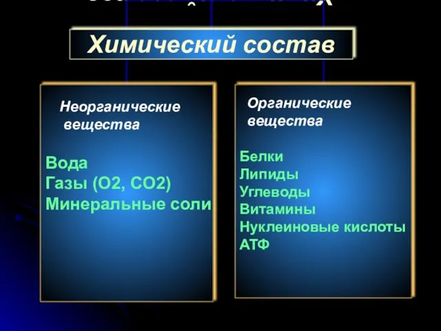 Химический состав Неорганические вещества Органические вещества