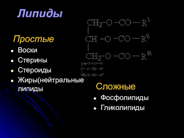 Липиды Простые Воски Стерины Стероиды Жиры(нейтральные липиды Сложные Фосфолипиды Гликолипиды