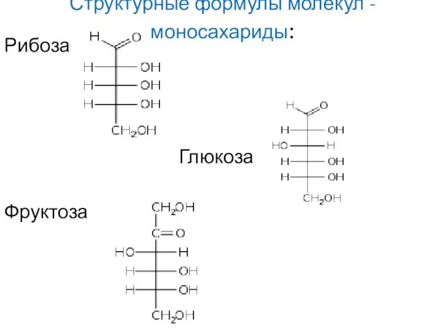 Структурные формулы молекул - моносахариды: Рибоза Глюкоза Фруктоза