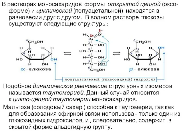 В растворах моносахаридов формы открытой цепной (оксо-форме) и циклической (полуацетальной) находятся в